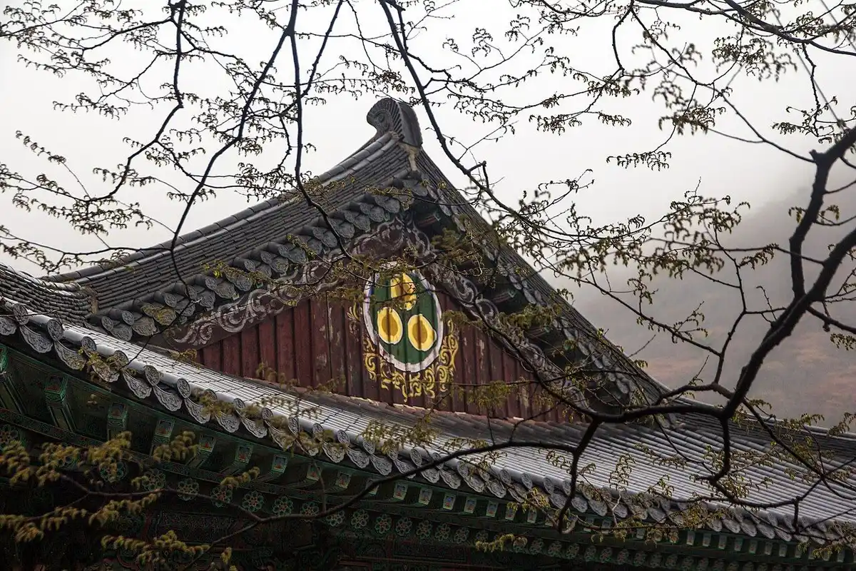 안개 낀 산 앞, 앙상한 가지 사이로 보이는 범어사 전각의 기와지붕.