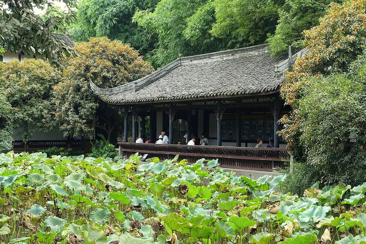 蓮の葉が広がる池の向こう、木々の中に建つ武侯祠の東屋。