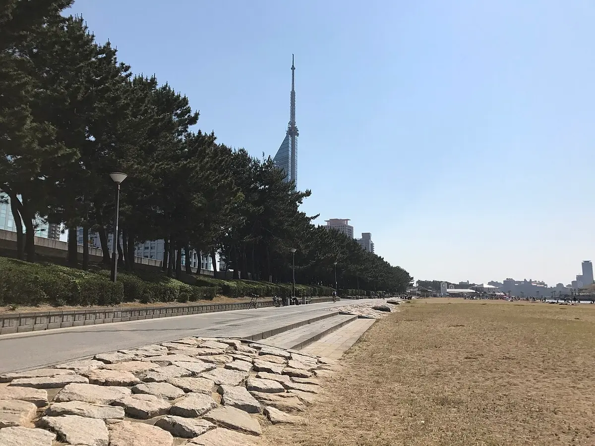 시사이드 모모치 해변의 소나무 너머로 보이는 후쿠오카 타워.