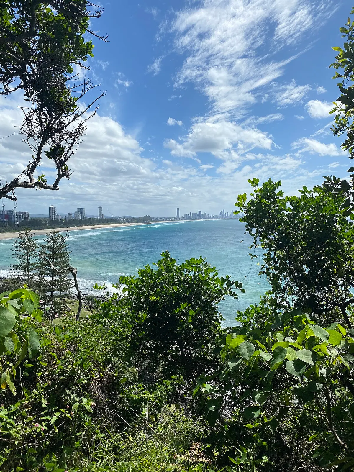 View north along the coast from Burleigh Head National Park