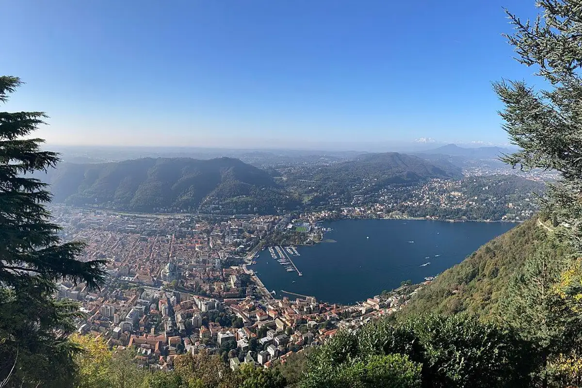 Como and the first basin of Lake Como seen from the Brunate overlook, framed by conifers, with hills in the distance.