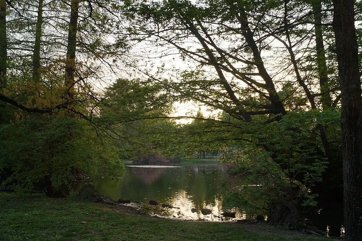 春の夕暮れ、新緑の木々の間から見えるセンピオーネ公園の池。