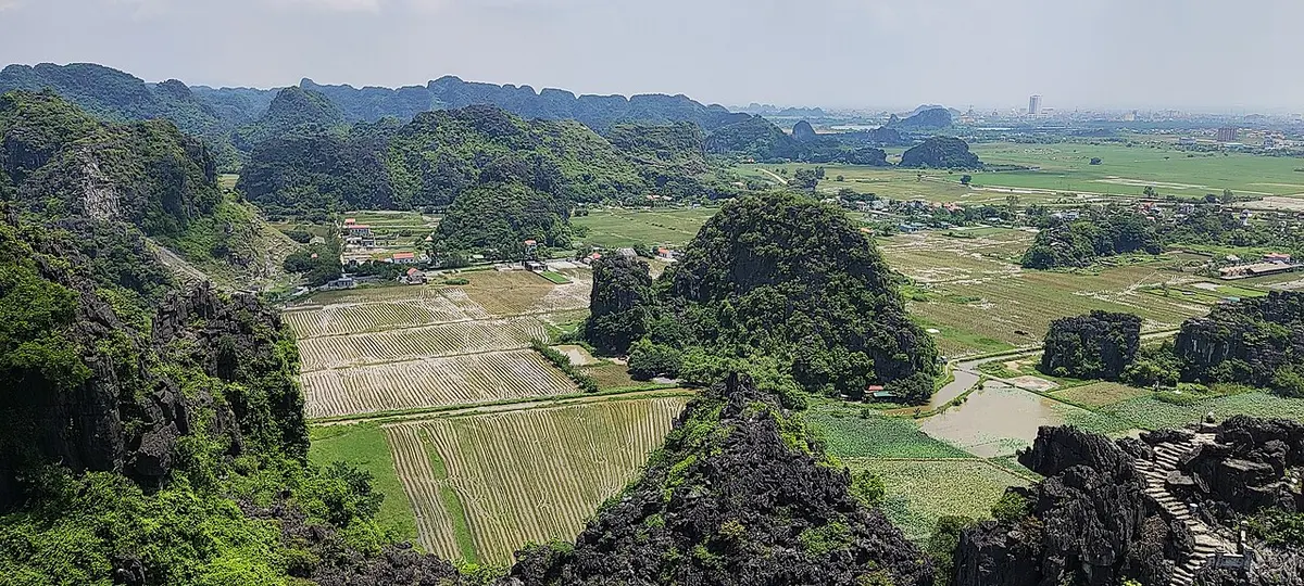 Rice fields and limestone peaks seen from the Hang Mua viewpoint
