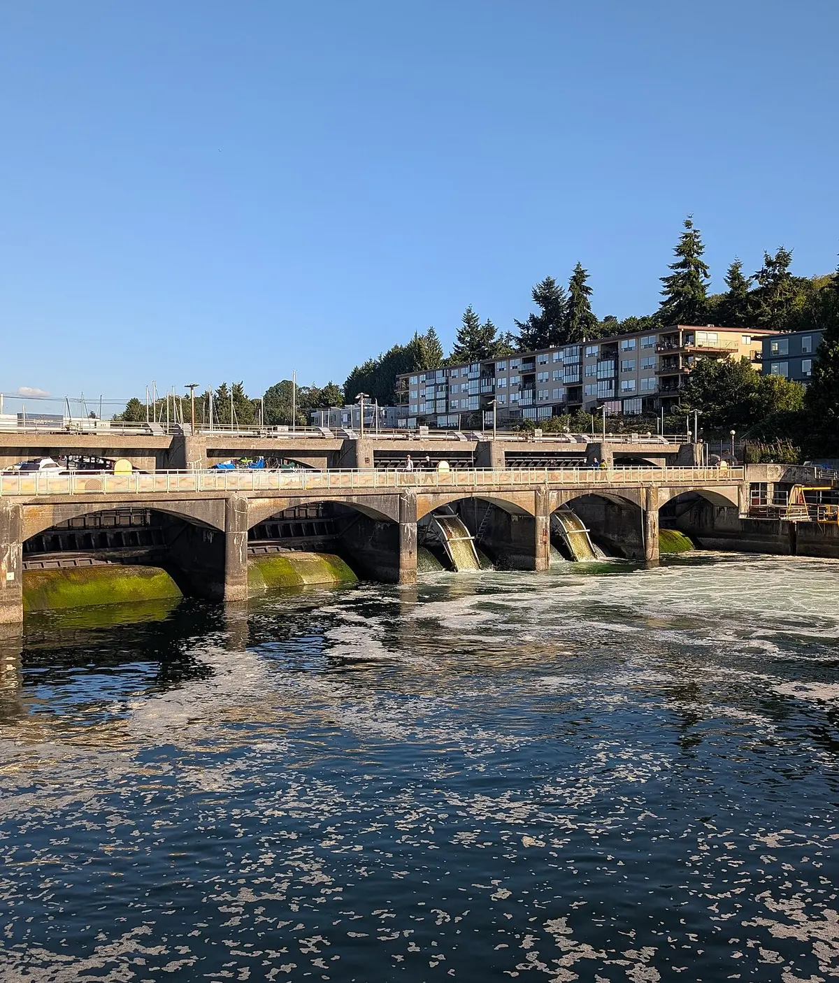 The lock chambers and waterway of Seattle's Ballard Locks