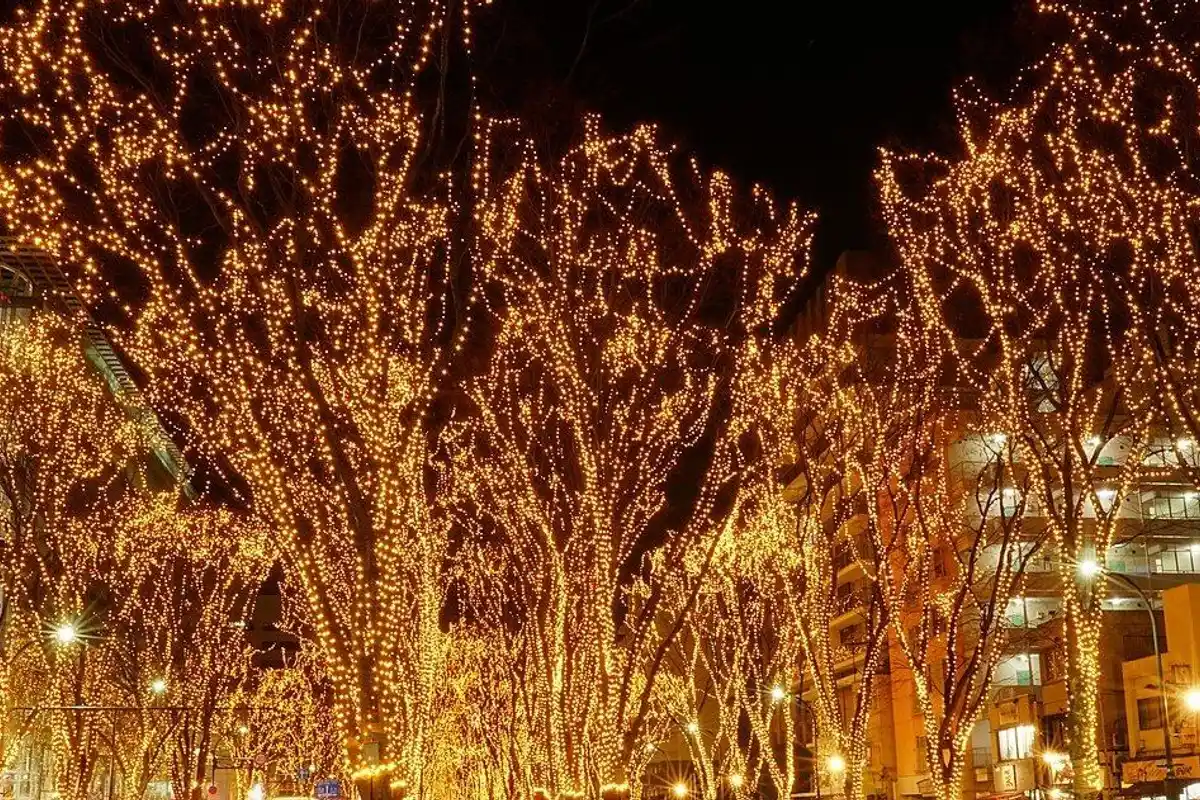 ケヤキ並木に暖かな色の電球がともる、冬の夜の定禅寺通。