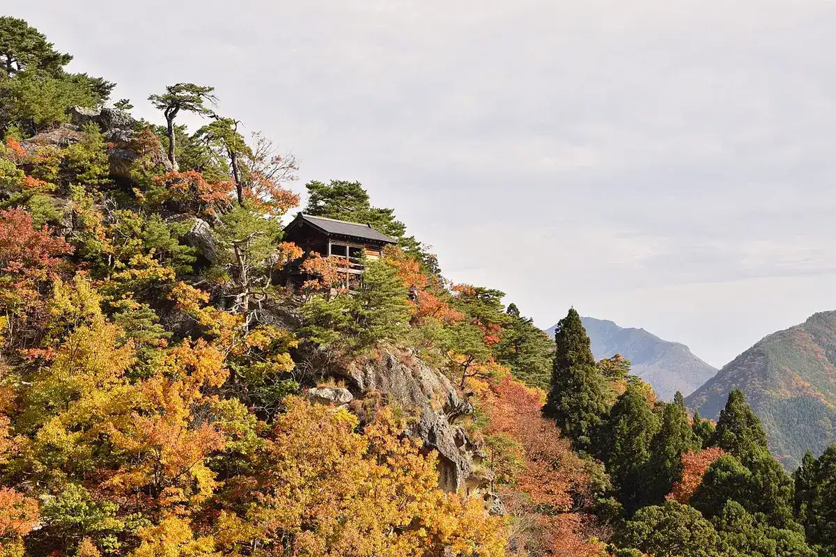 黄红秋叶间,立于岩石上的山寺小殿。