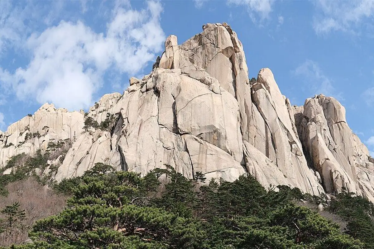 소나무 숲 위로 우뚝 솟은 울산바위의 화강암 봉우리.
