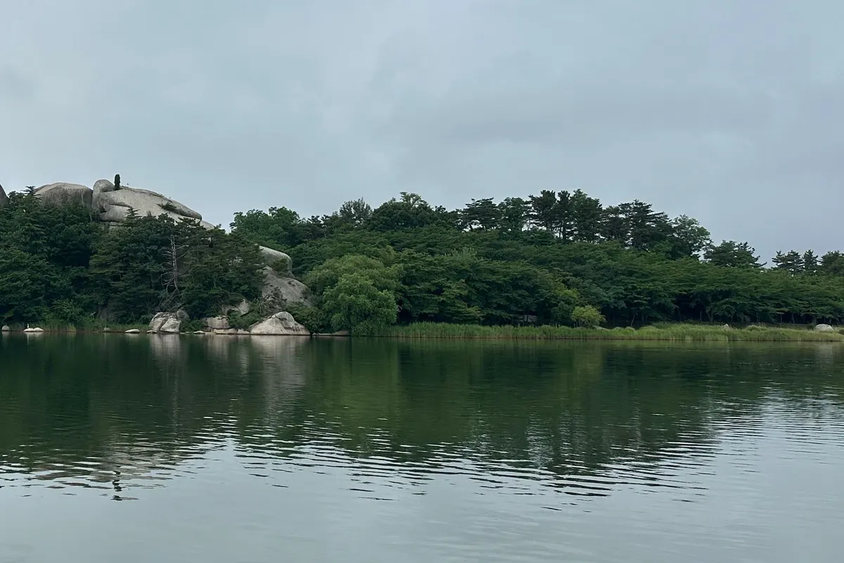 束草・永郎湖の静かな岸辺に大きな花崗岩の岩と松林が続き、曇り空の下で木々の影が水面に映る。