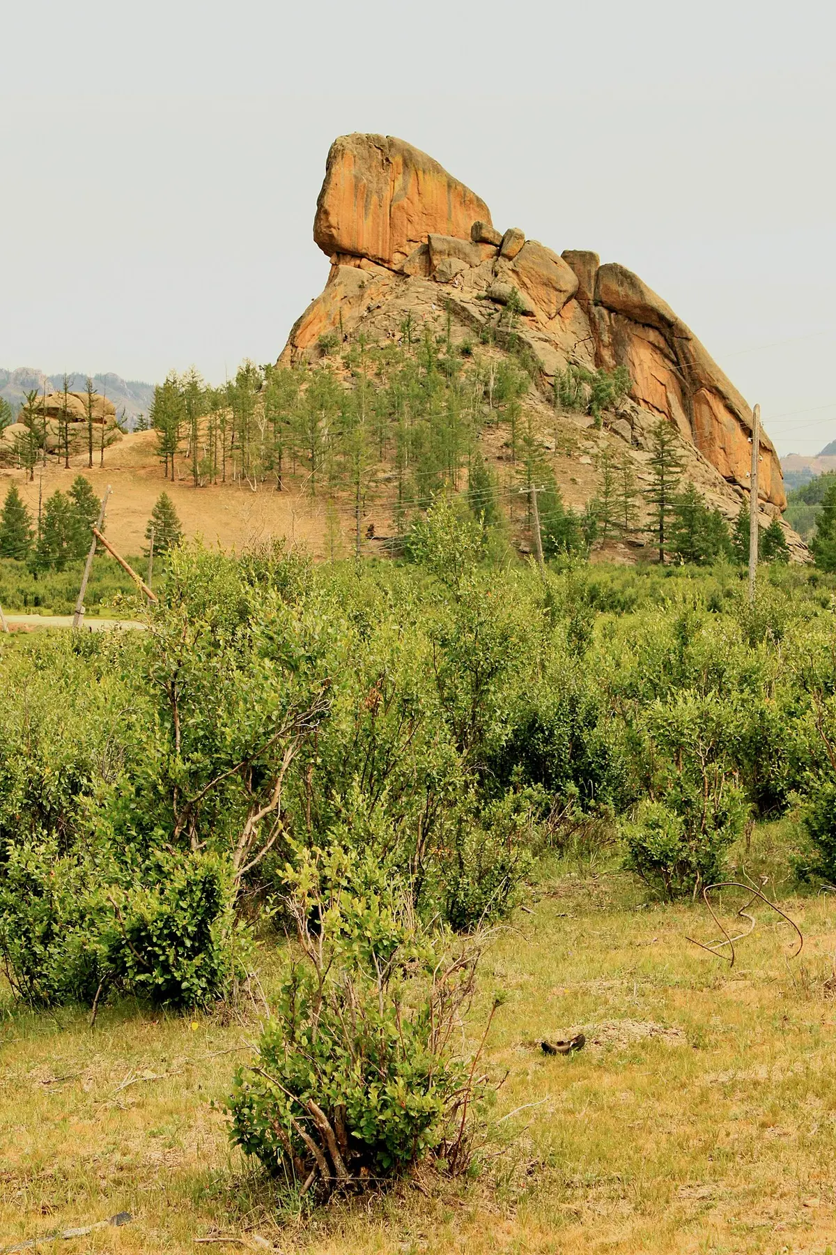 The turtle-shaped granite Turtle Rock in Terelj National Park