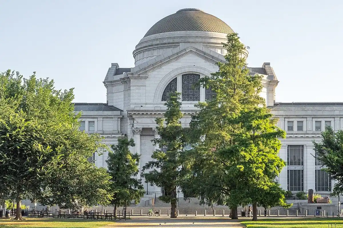 The domed National Museum of Natural History behind leafy green trees in soft summer-morning light.