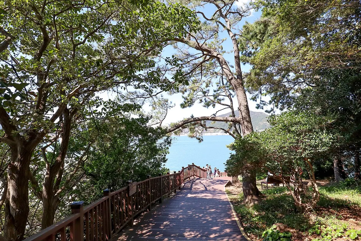 여수 오동도의 나무 사이로 이어지는 숲 산책로.