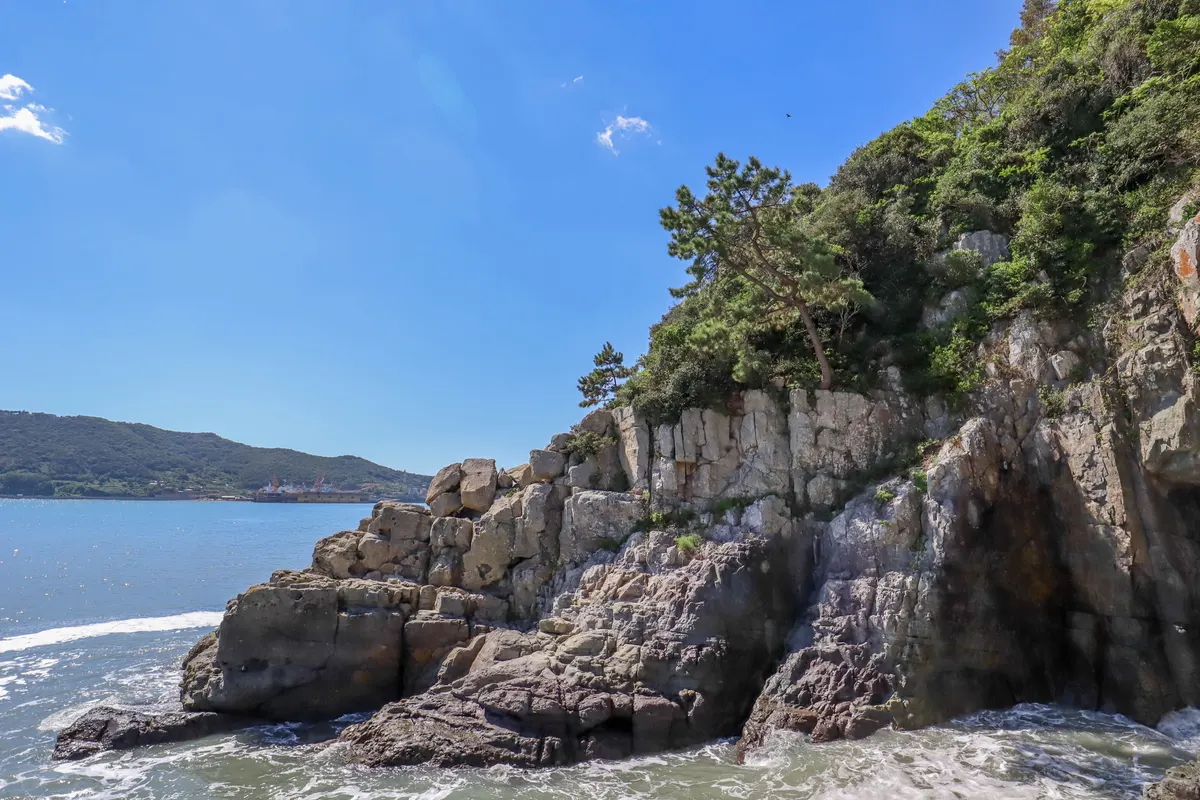 晴れた空の下、松が生える梧桐島の竜窟近くの岩の崖に波が打ち寄せます。