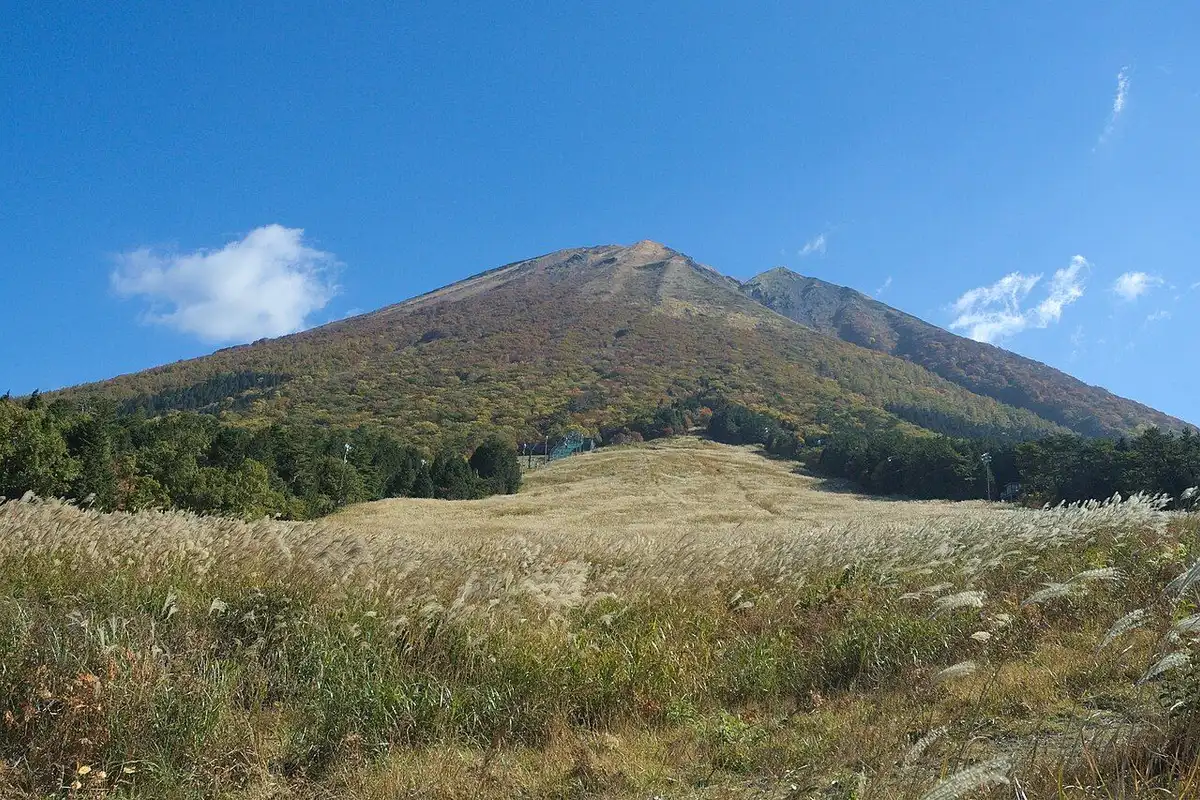 Pampas grass in the foreground with the autumn-tinted slopes of Mt. Daisen behind.